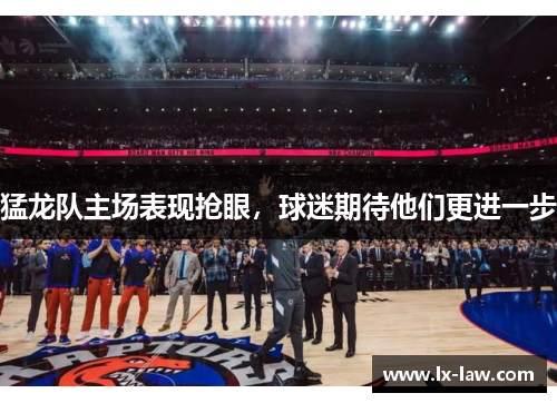 猛龙队主场表现抢眼，球迷期待他们更进一步
