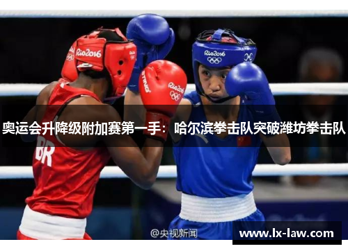 奥运会升降级附加赛第一手：哈尔滨拳击队突破潍坊拳击队